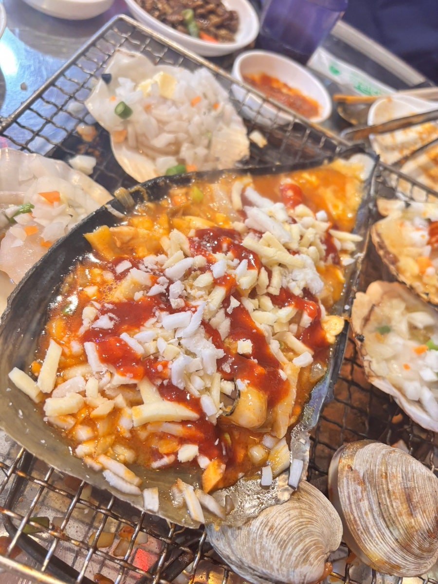 산호집 사진 5