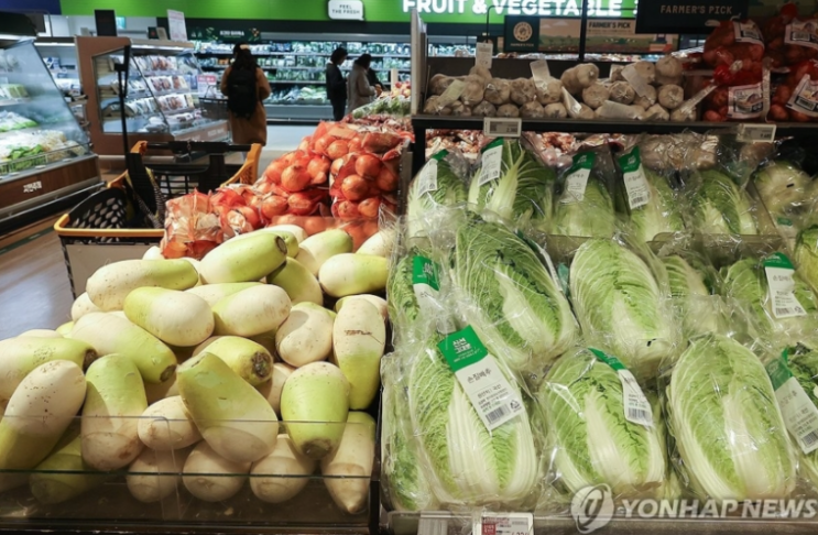  “농산물 가격 왜 이렇게 비싸?”… 유통비 절반 차지, 충격 현실 