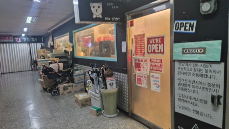사진 4