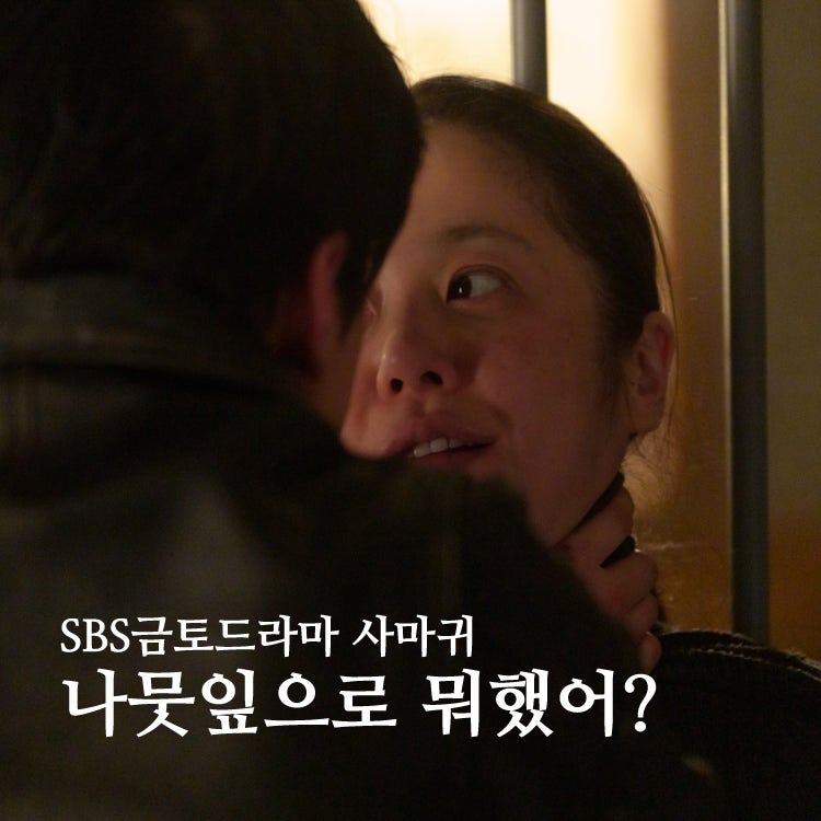 드라마 사마귀 정이신 나뭇잎으로 뭘 했어? ft.남가뢰