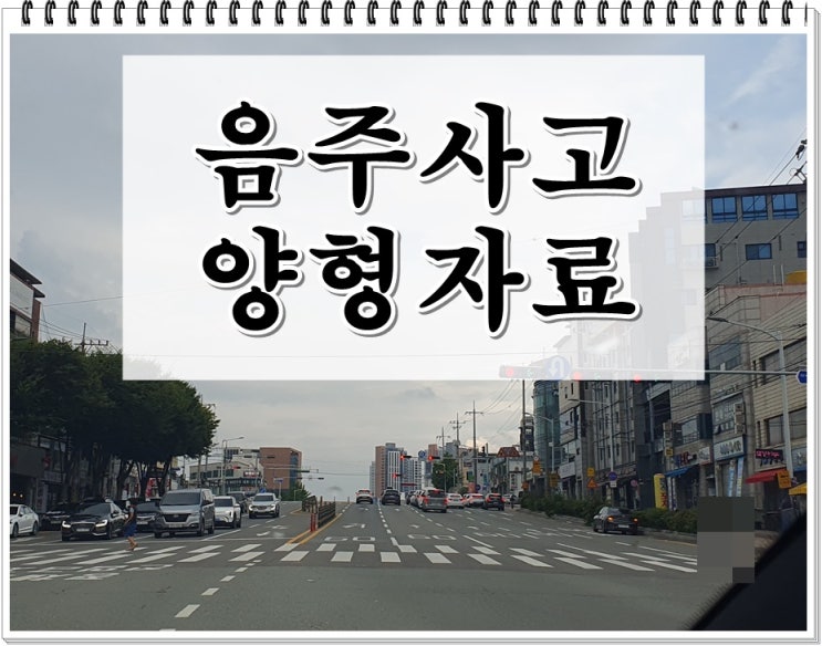  음주운전사고 반성문 탄원서 선처에 필요한 양형자료