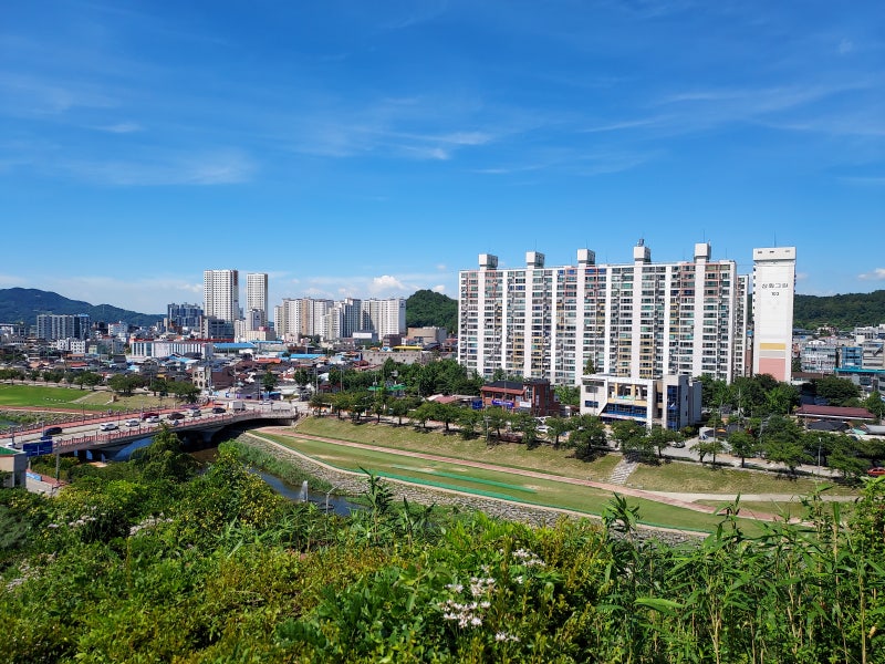 사진 2