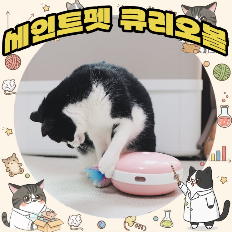  고양이 자동장난감 추천 여름철 무기력 타파템 세인트펫 큐리오볼