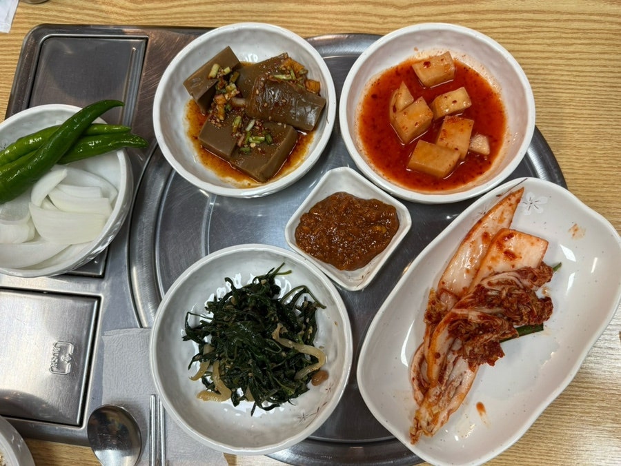참고을흑염소 사진 3