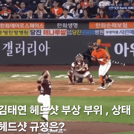  김태연 헤드샷 부상 부위,상태,헤드샷 퇴장 규정은?