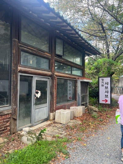 사진 10
