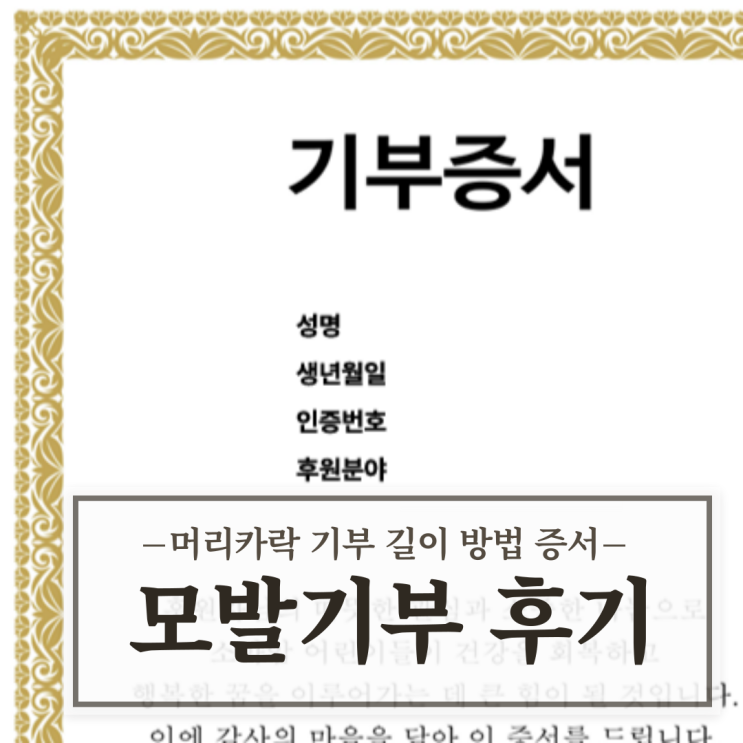  어머나 운동 본부 머리카락 기부 길이 방법 증서 후기