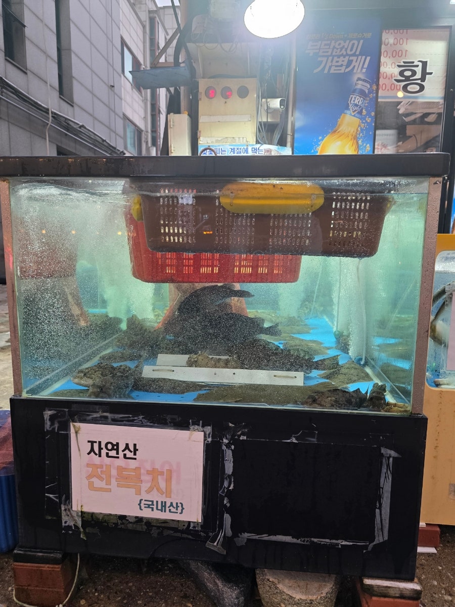 야탑황금어장 본점 사진 3