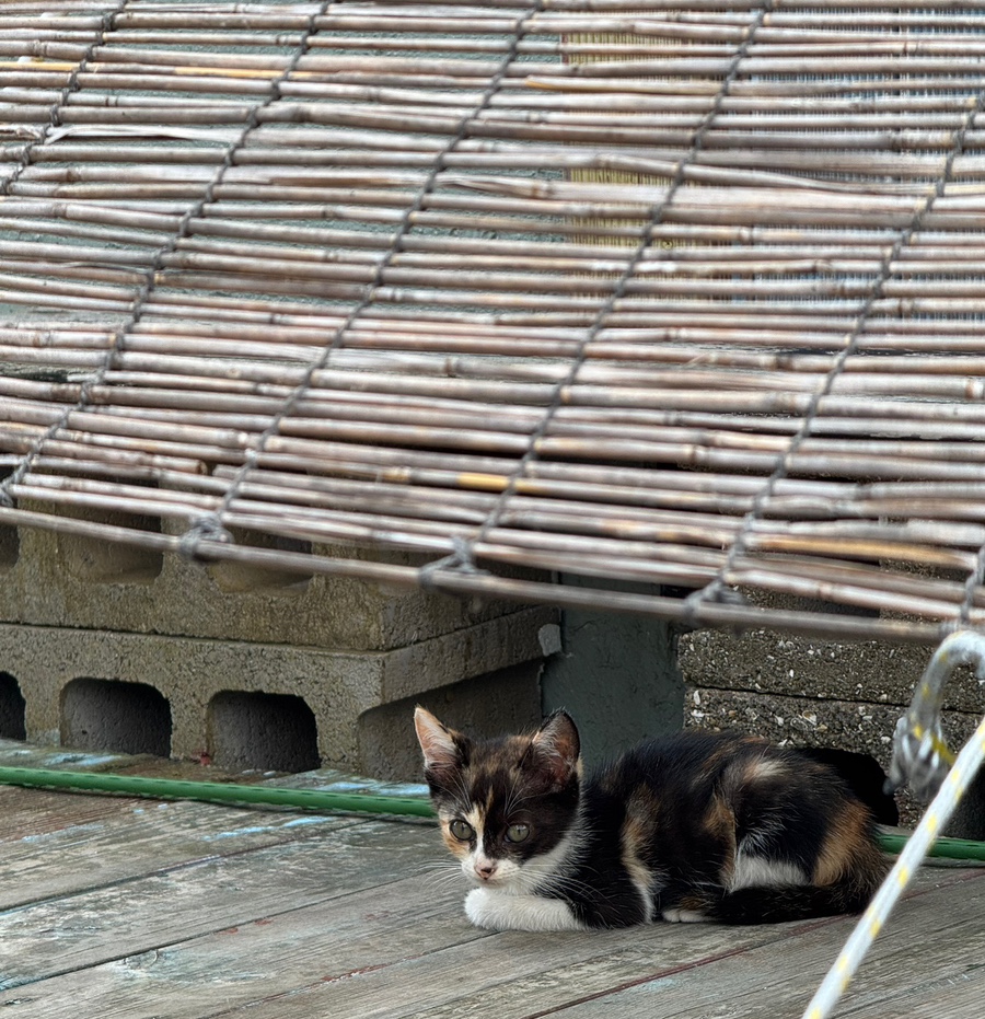 해동별한곳 사진 1