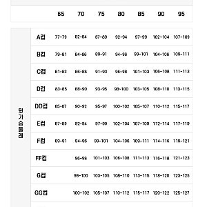 쇼크업소버 뉴런브라 브라탑 내돈내산 ♂️