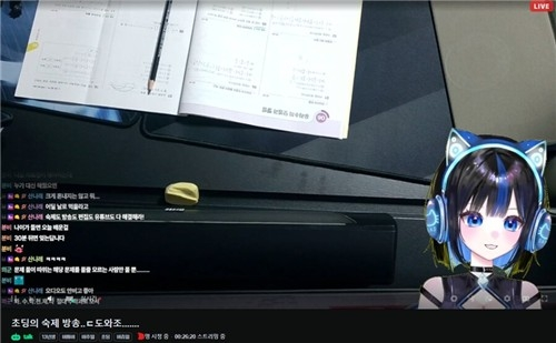 가상의 세계에서 벌어지는 현실의 위험, 어린이 <b>버튜버 논란</b>
