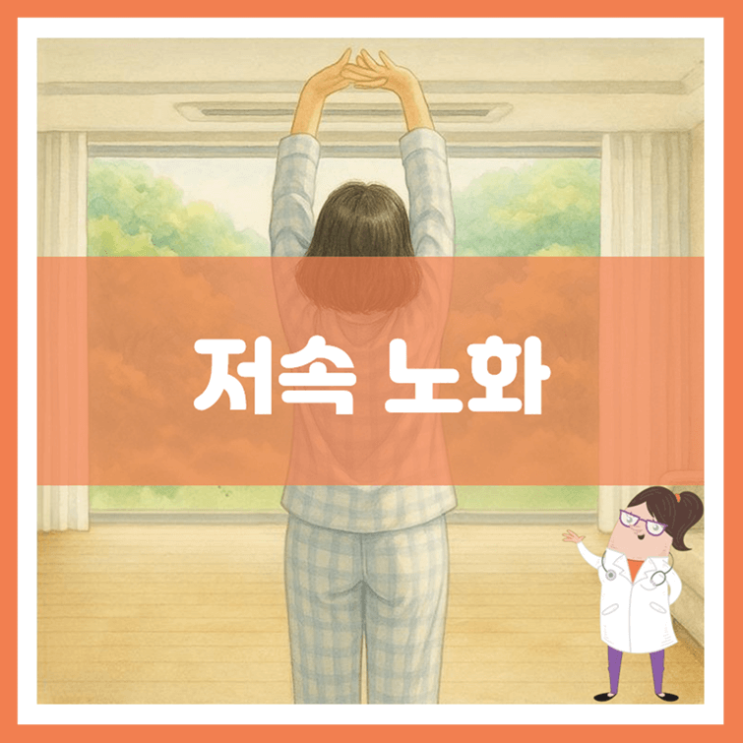  저속 노화에 대해 알아봐요