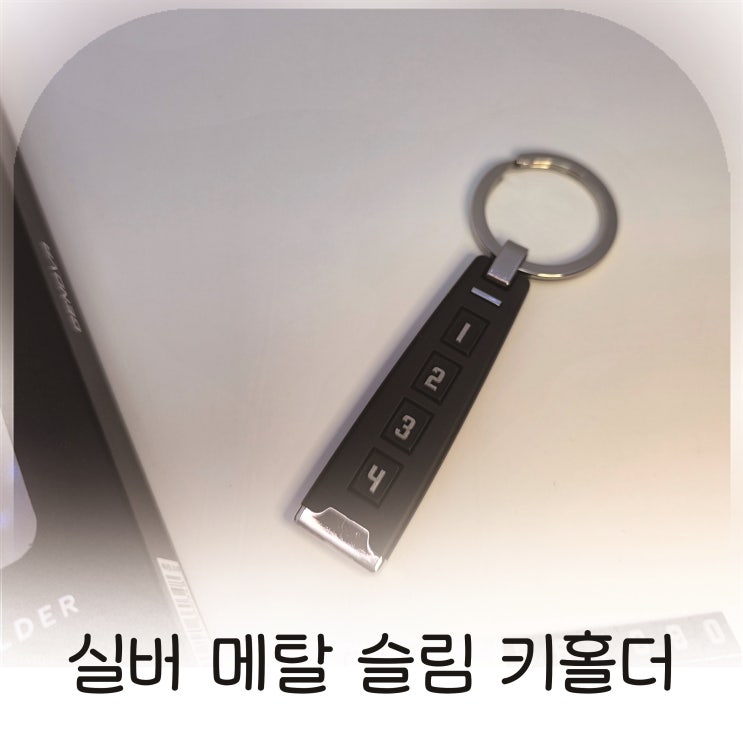  DailySSuup 엑티언 슬림 키홀더 실버메탈 자동차키홀더 레드해마redhaema