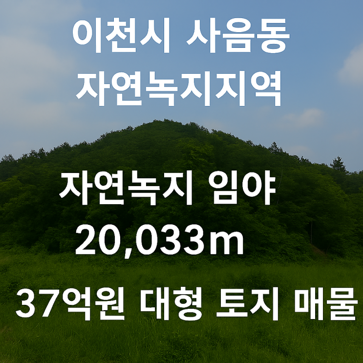  이천 사음동 도자기마을 인접 임야 20,033, 자연녹지지역, 37억원 매물