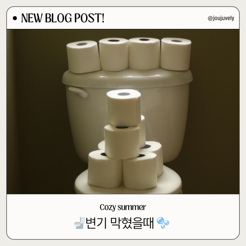 변기 막혔을때 샴푸 락스 뚫는법 셀프로 해결!