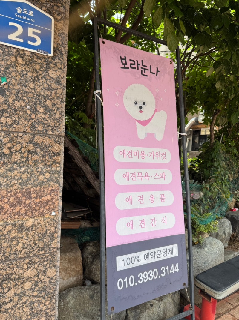 사진 5
