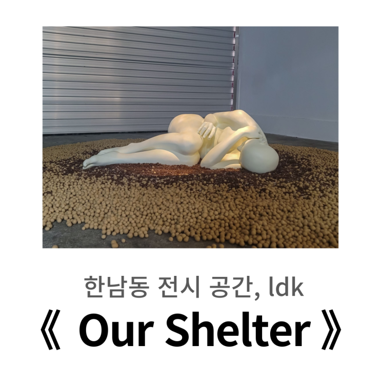  당신에게 쉘터는 어떤 의미입니까? ㅣ 한남동 전시, Ldk 《 Our Shelter 》 서정배, 손윤원, 최은철, 한석경, 염지희