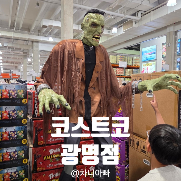  코스트코 광명점 스위스 밀리터리 캐리어 구매후기, 필요 없지만 갖고 싶은 물건들 소개