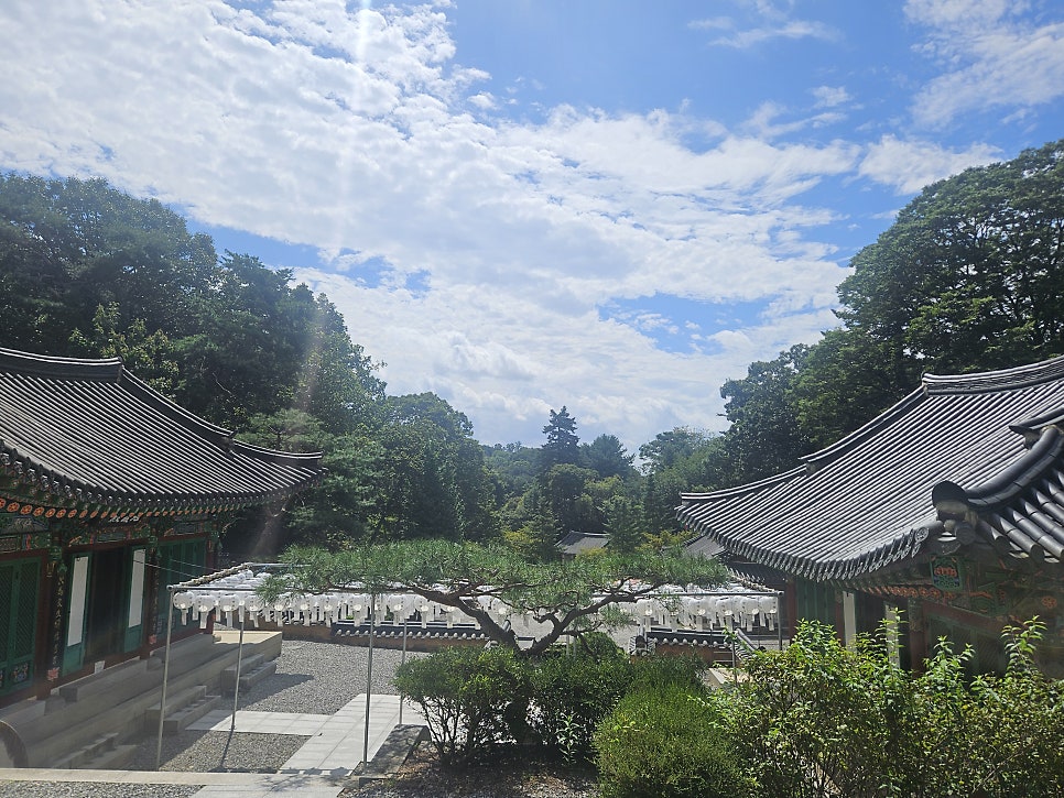 돌담집 사진 1