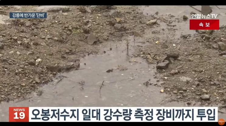 [기자 수첩] <b>가뭄</b> 멈춰 세운 ‘단비’…<b>강릉</b> 물난리, 치산치수... 