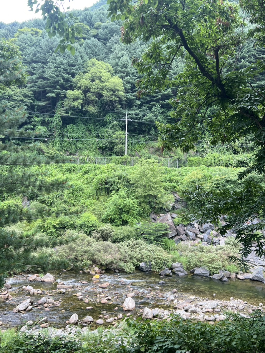 오목골휴양지 사진 3