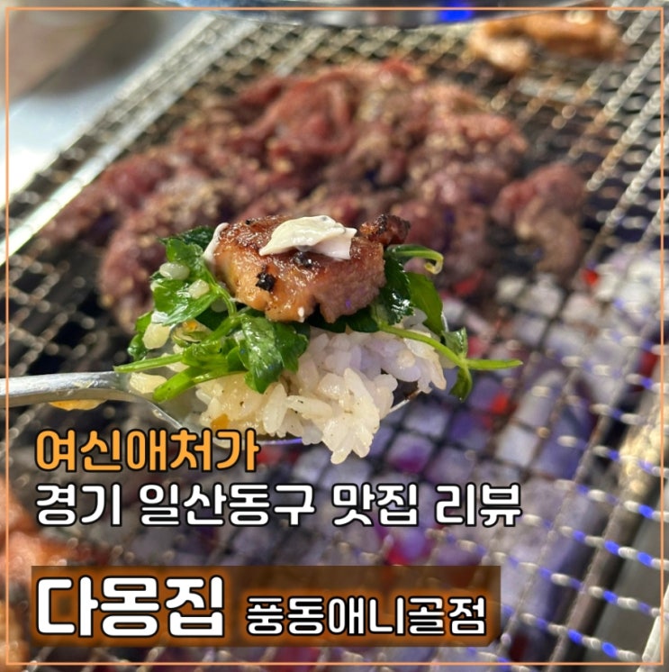  일산 풍산역 애니골 맛집, 다몽집, 회식이나 모임 추천 고기집
