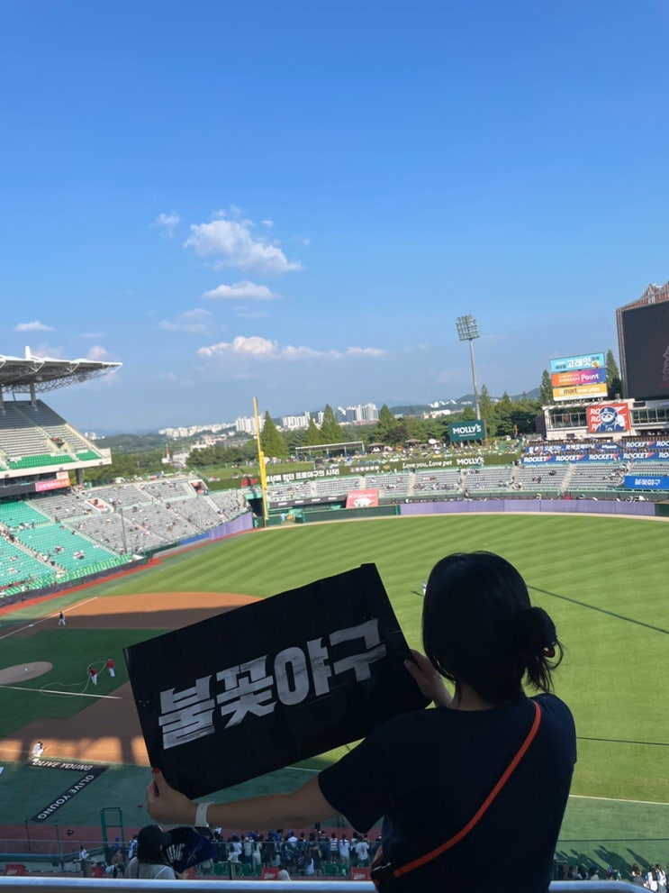  불꽃야구 직관 SSG랜더스필드 먹거리 우이락 파파존스 허갈닭강정