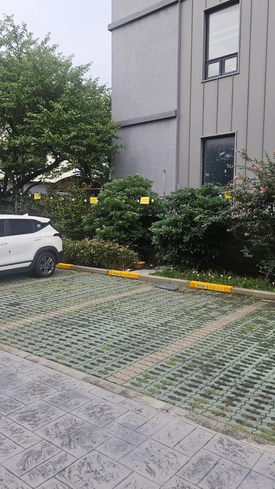 빽다방 제주서광로동성길점 사진 3