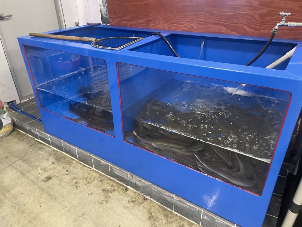 고창풍천장어 사진 2