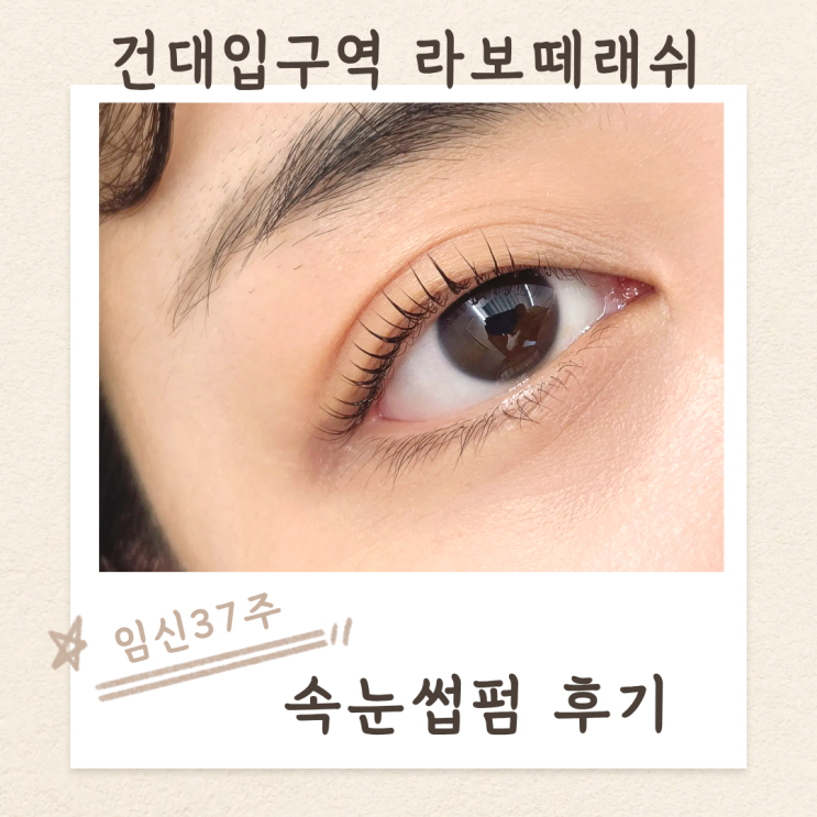  건대입구역 속눈썹펌 라보떼래쉬 추천 임산부 속눈썹펌 후기