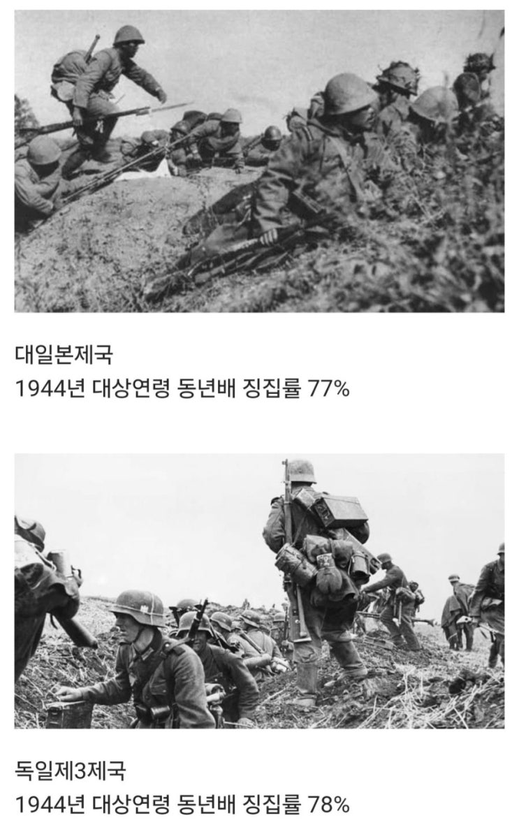  나치, 일본제국보다 징집률 높은 한국 군대ㅋㅋ