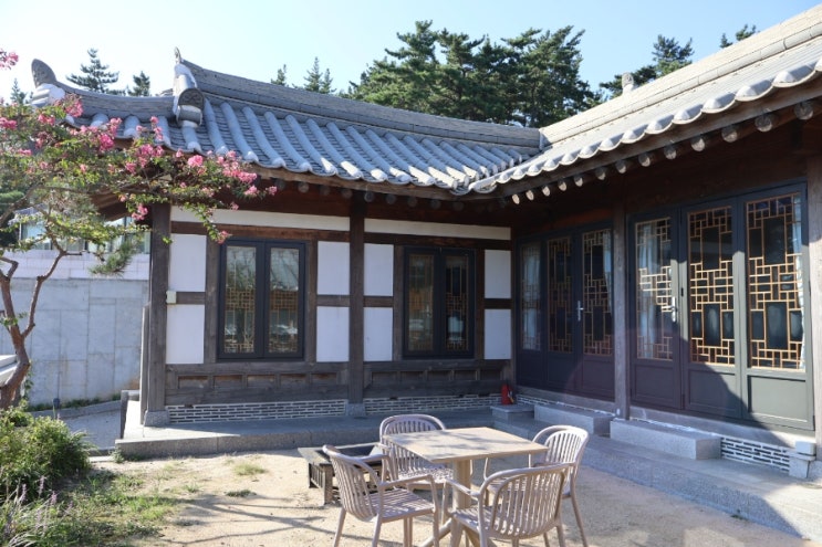  호텔어라이브 태안 탼 한옥리조트 바다4 | 태안 감성 한옥 숙소 후기