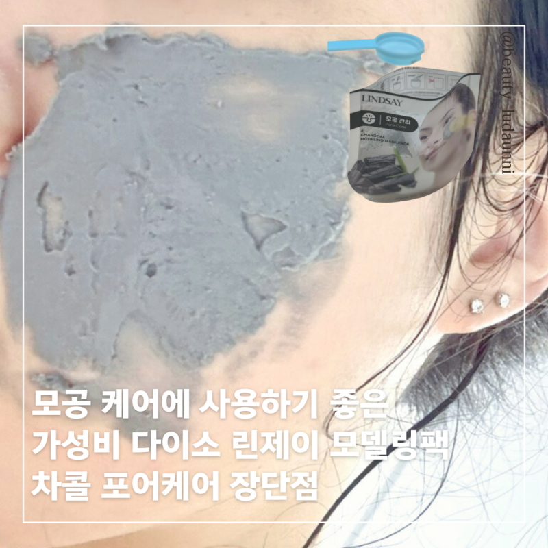 다이소 린제이 모델링팩 사용 주기 시간 차콜 모공관리 효과있을까?