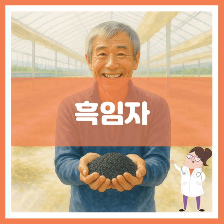  흑임자 효능 영양성분 부작용