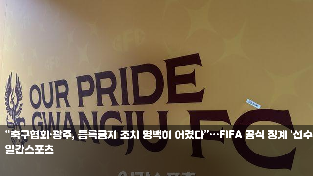 어겼다”…<b>FIFA</b> 공식 <b>징계</b> ‘선수 등록 불허+<b>벌금</b>’ 황희찬... 