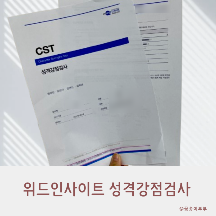  위드인사이트 CST 성격강점검사 나를 알아보는 시간
