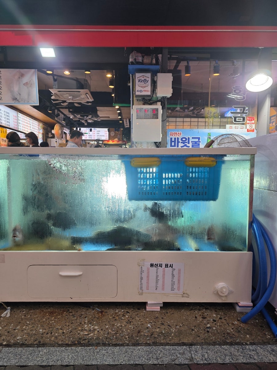 야탑황금어장 본점 사진 5