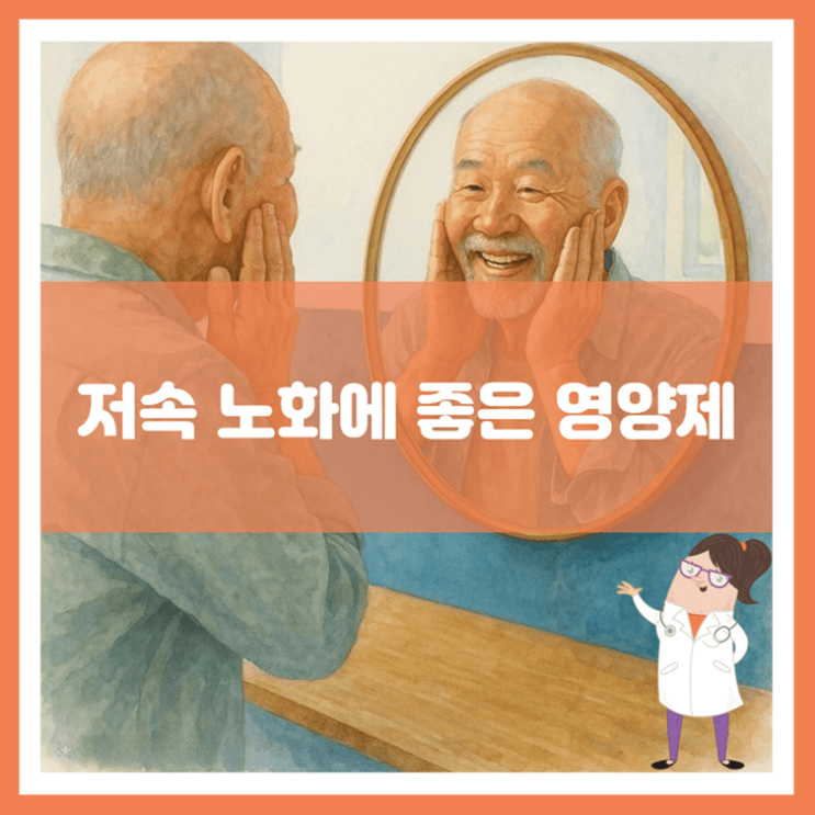  저속 노화에 좋은 영양제에 대해 알아봐요