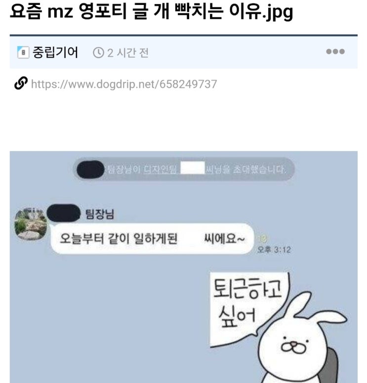  영포티에 대한 영포티들 반응과 여론 ㄷㄷ
