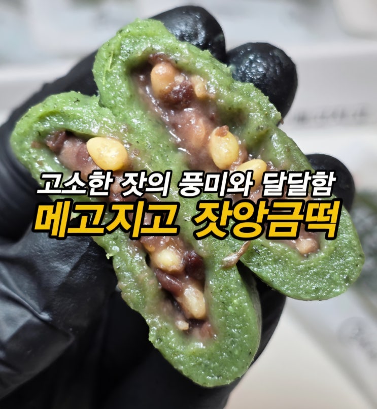  고소한 잣앙금 가득한 떡 맛집 메고지고 떡창고 잣앙금쑥절편, 잣방울떡, 잣가래떡(ft. 잣 효능)