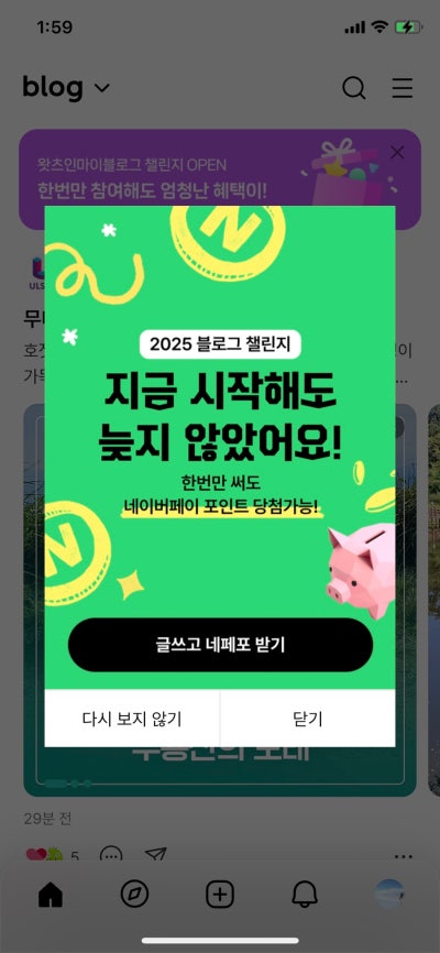 사진 10