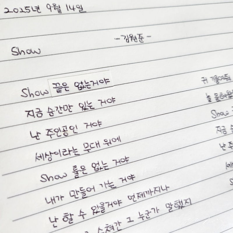 김원준 Show 노래 가사 필사