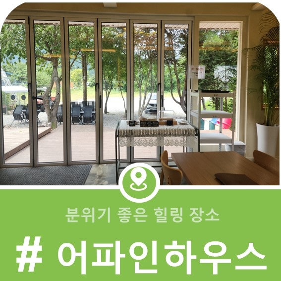사진 2