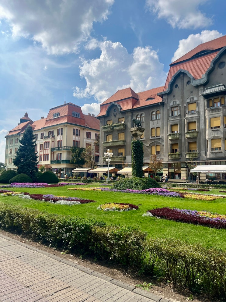 루마니아 여행 티미쇼아라 Timisoara