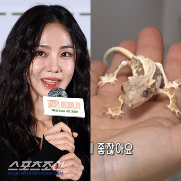 [충격] <b>한지은</b> 반려 <b>도마뱀</b> 방치 논란…'앙상한 몸', <b>학대 의혹</b>... 