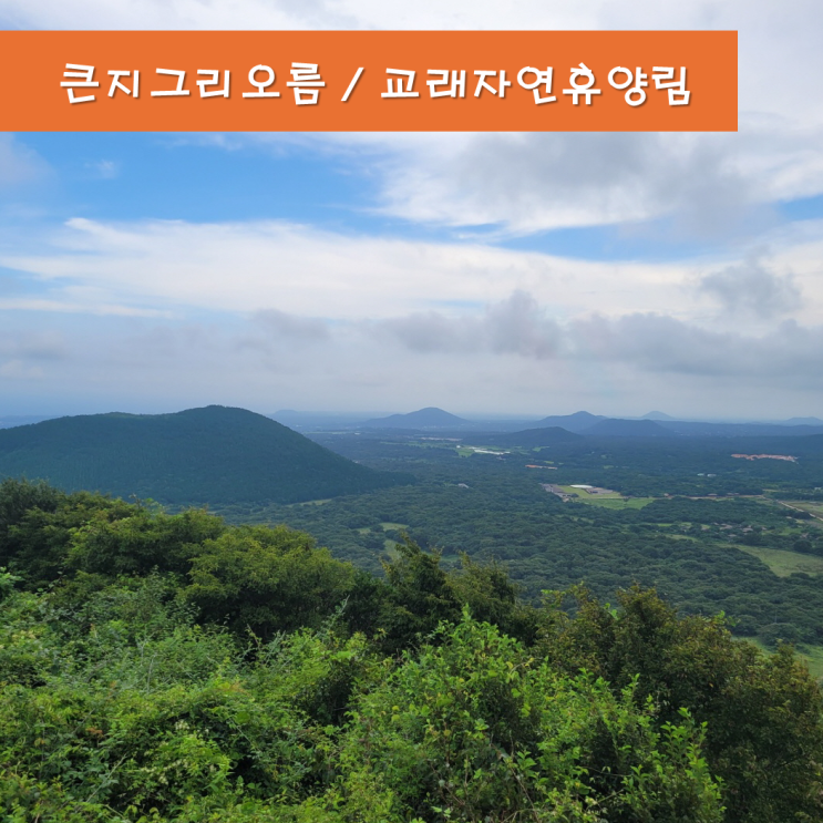  《제주오름》 큰지그리오름 교래자연휴양림 제주도가볼만한곳