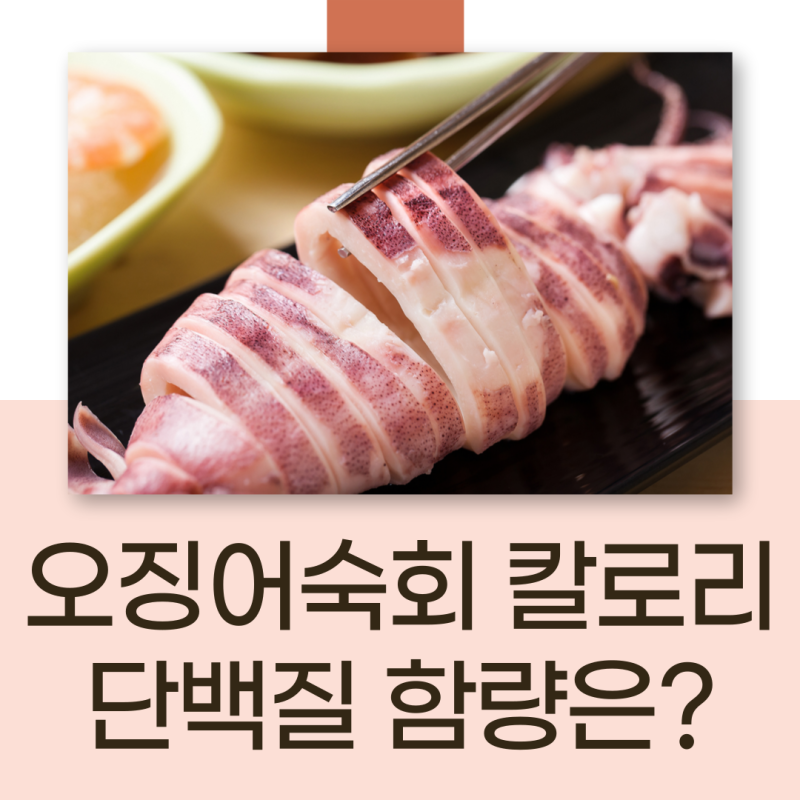 오징어숙회 칼로리 단백질 함량은?