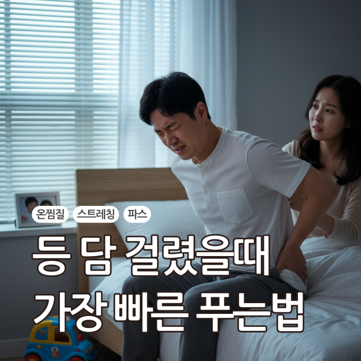  30대 직장인 리얼 후기 - 등담걸렸을때 가장 빠른 푸는법