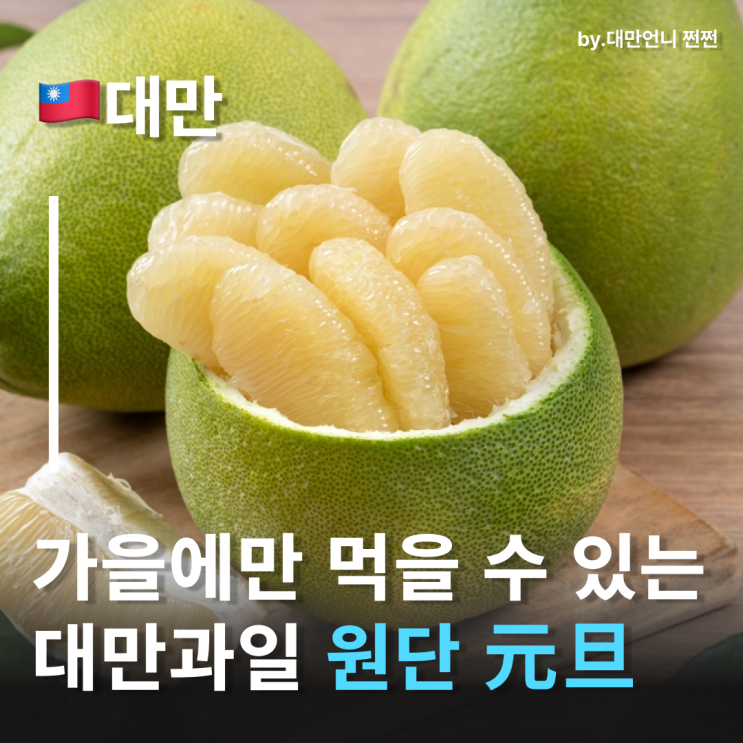  대만과일 원단 文旦 대만 가을여행 꼭 드셔보세요 대만먹거리 추천
