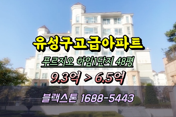  대덕테크노밸리 푸르지오 하임1단지 경매 48A평